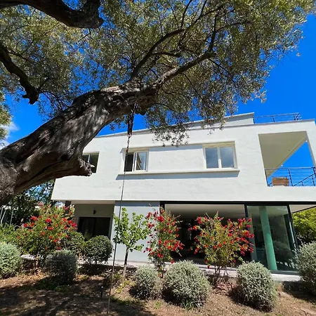 Juan Les Pins - Individual - 8 People אנטיב